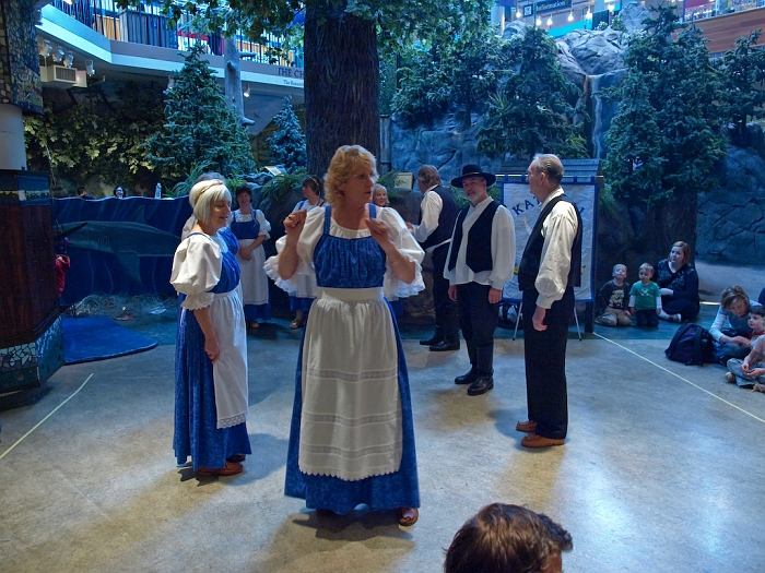 P2033711.jpg - OLYMPUS DIGITAL CAMERA