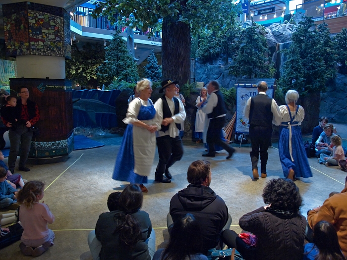 P2033784.jpg - OLYMPUS DIGITAL CAMERA
